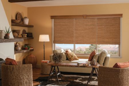 Burbank window blinds